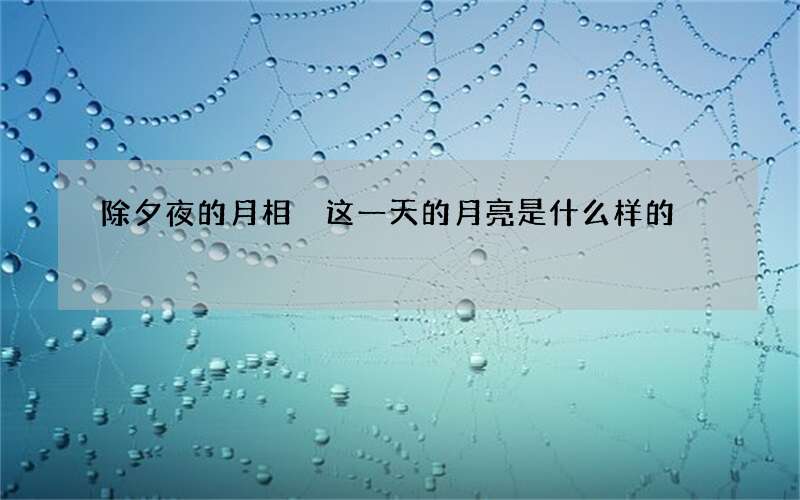 除夕夜的月相 这一天的月亮是什么样的